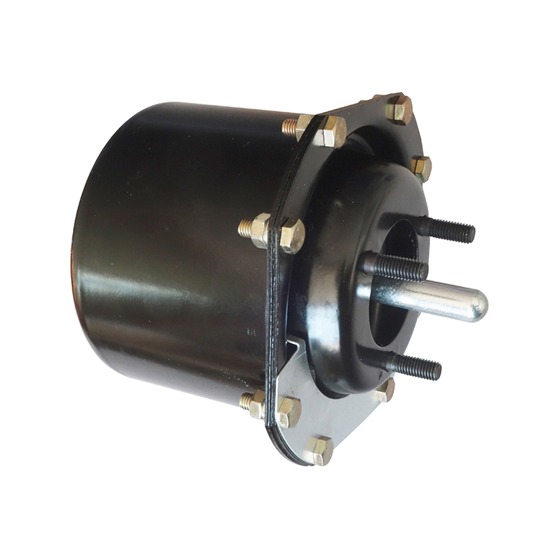 Lucht-/hydraulische cilinder voor MERCEDES-serie